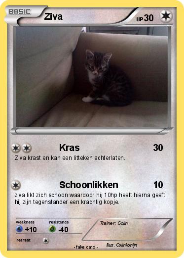 Pokemon Ziva