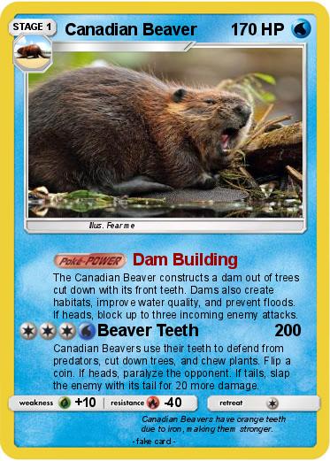 Pokemon Canadian Beaver