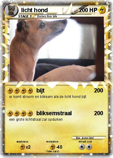Pokemon licht hond