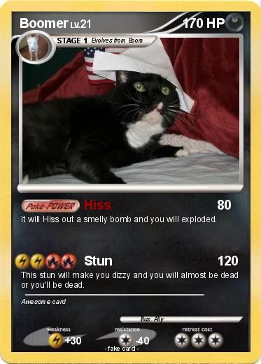 Pokemon Boomer