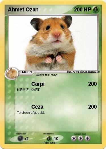 Pokemon Ahmet Ozan