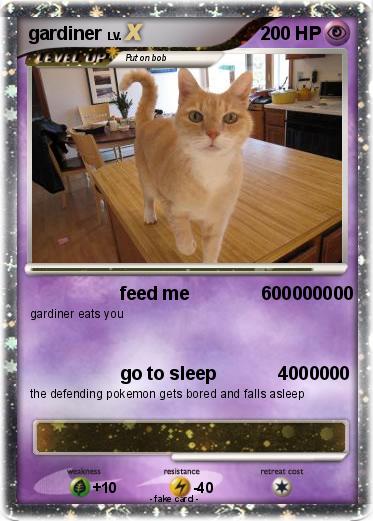 Pokemon gardiner