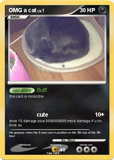 Pokemon OMG a cat