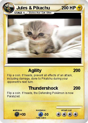 Pokemon Jules & Pikachu