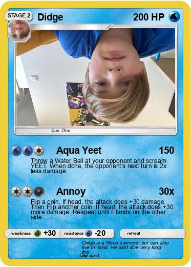 Pokemon Didge