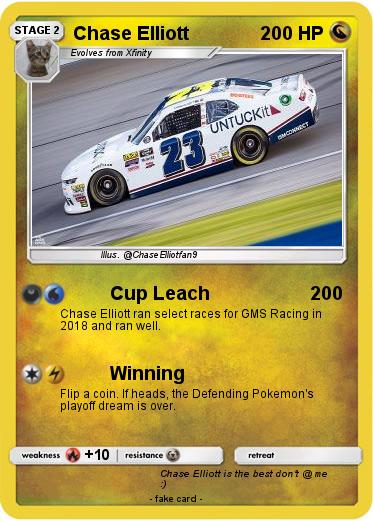 Pokemon Chase Elliott