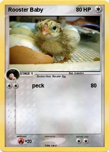 Pokemon Rooster Baby