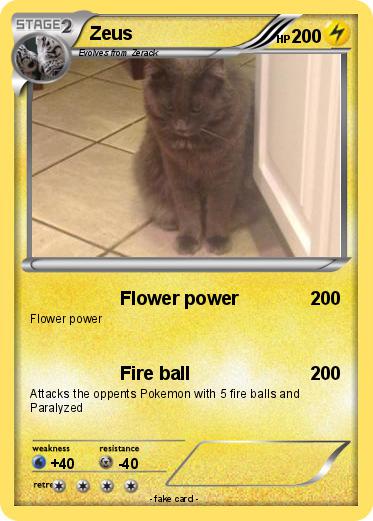 Pokemon Zeus