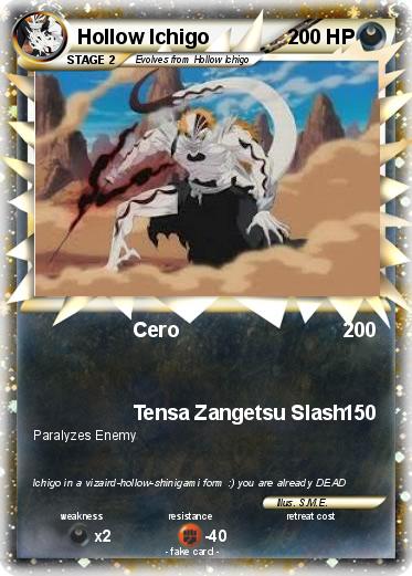 Pokemon Hollow Ichigo
