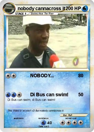 Pokemon nobody cannacross it