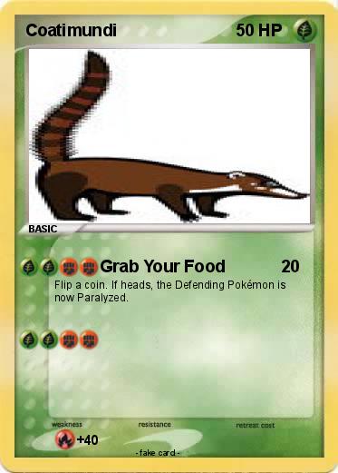 Pokemon Coatimundi