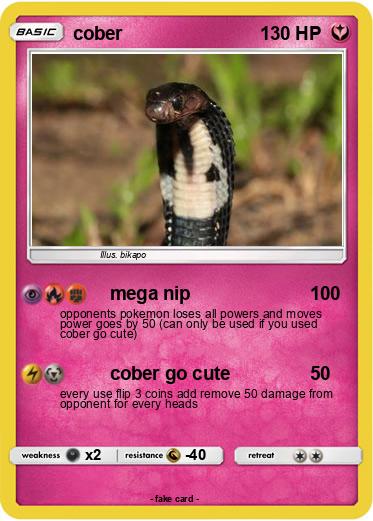 Pokemon cober