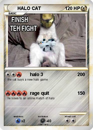Pokemon HALO CAT