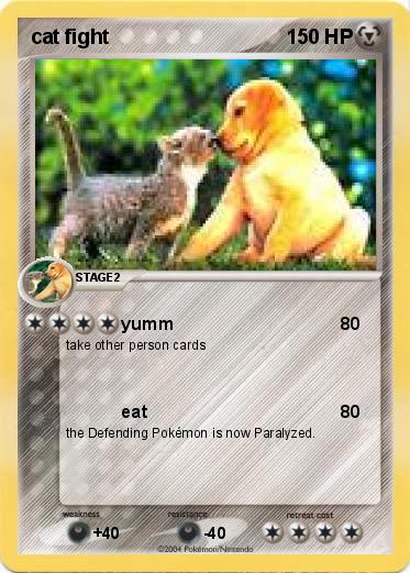 Pokemon cat fight