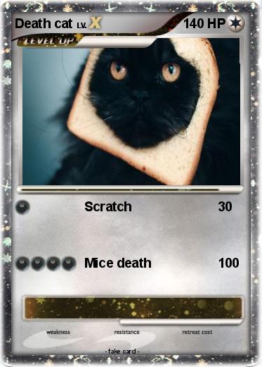 Pokemon Death cat