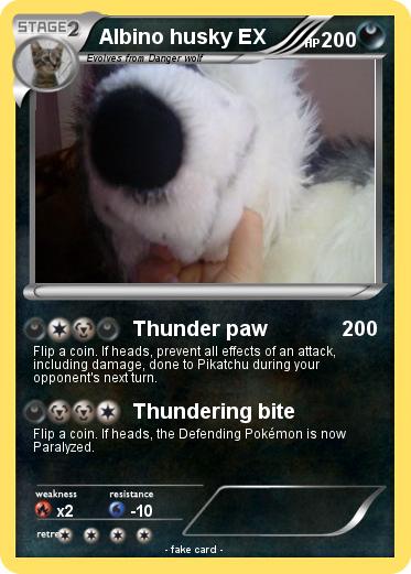 Pokemon Albino husky EX