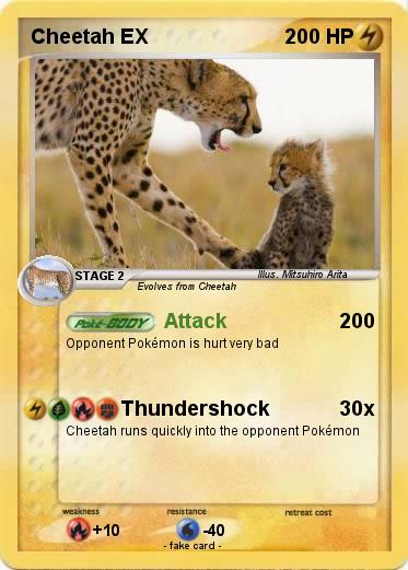 Pokemon Cheetah EX