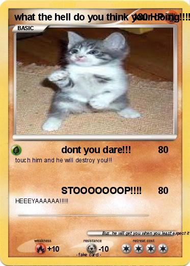 Pokemon what the hell do you think your doing!!!!????