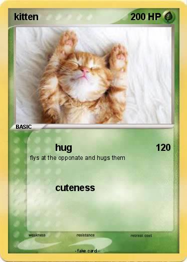 Pokemon kitten