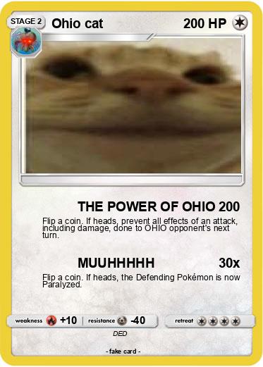 Pokemon Ohio cat