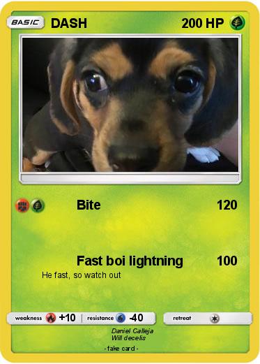 Pokemon DASH