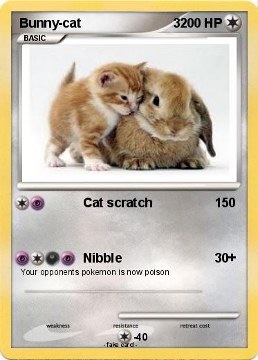 Pokemon Bunny-cat                          3