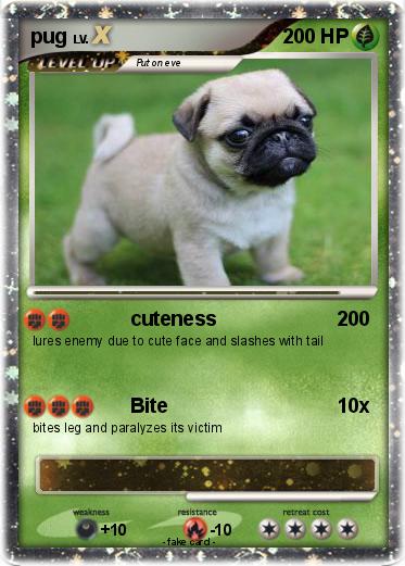 Pokemon pug