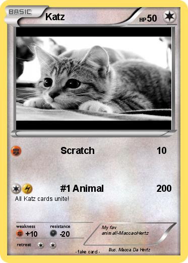 Pokemon Katz