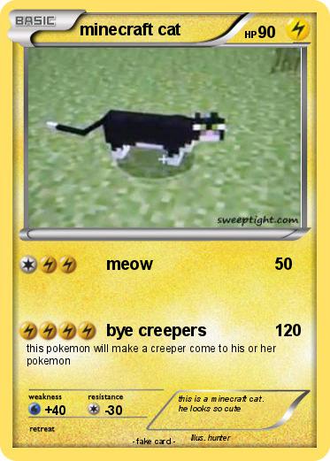 Pokemon minecraft cat