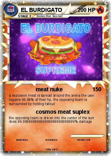 Pokemon EL BURDIGATO