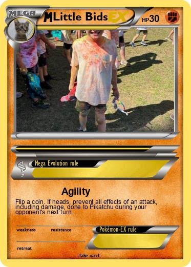 Pokemon Little Bids