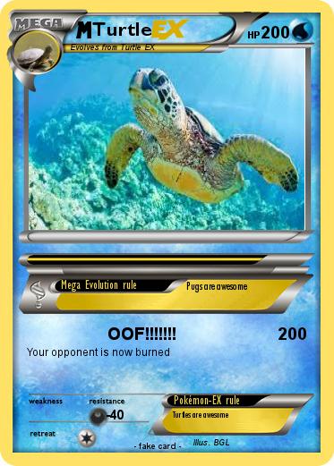 Pokemon Turtle