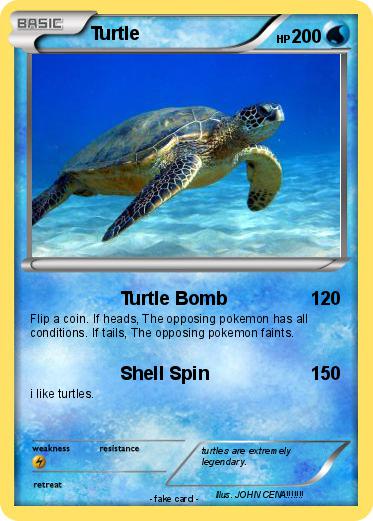 Pokemon Turtle Pokemon Turtle