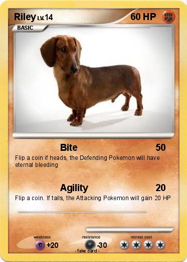 Pokemon Riley