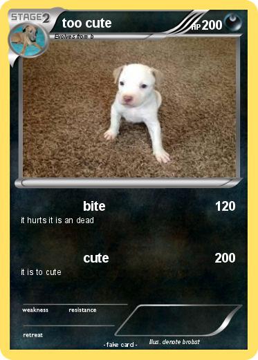 Pokemon too cute