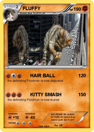 Pokemon FLUFFY