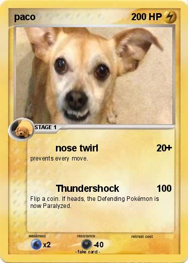 Pokemon paco
