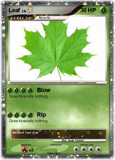 Pokemon Leaf