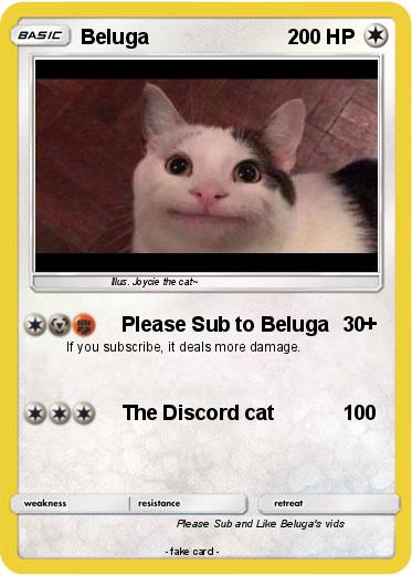 Beluga cat discord meme | Postcard