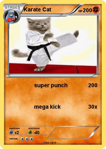 Pokemon Karate Cat