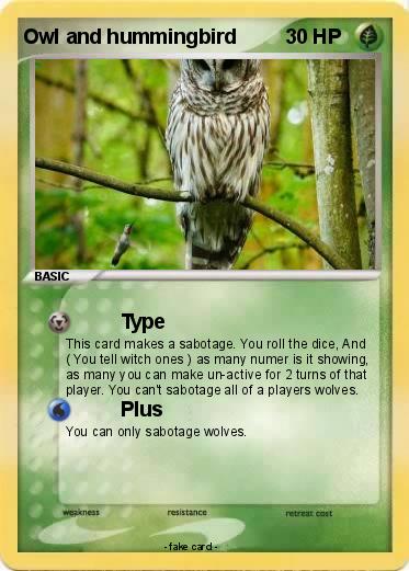 Pokemon Owl and hummingbird