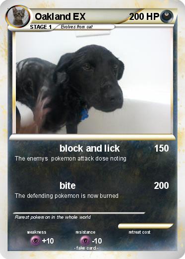 Pokemon Oakland EX