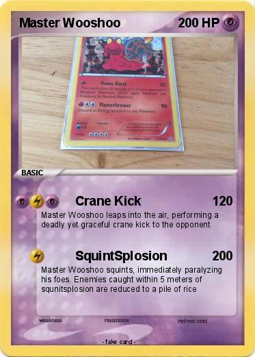 Pokemon Master Wooshoo