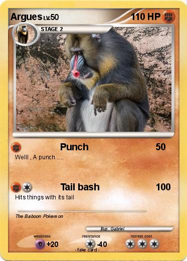 Pokemon Argues