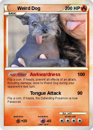 Pokemon Weird Dog
