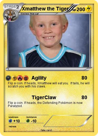 Pokemon Xmatthew the Tiger