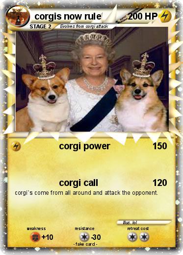 Pokemon corgis now rule