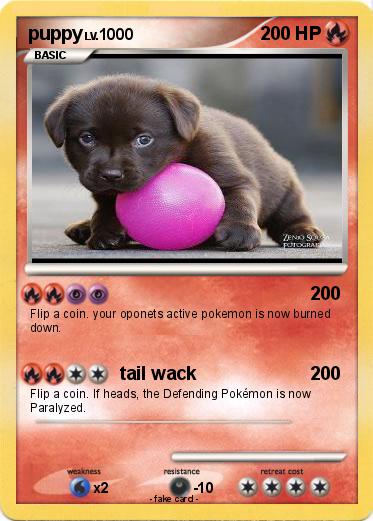 Pokemon puppy