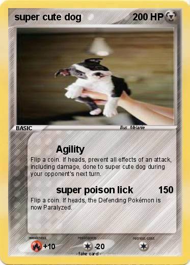 Pokemon super cute dog