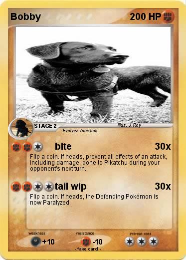 Pokemon Bobby